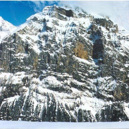 I am Not a Doctor [CD]