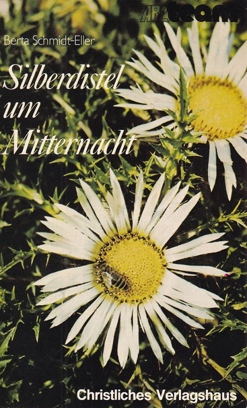 Silberdistel um Mitternacht