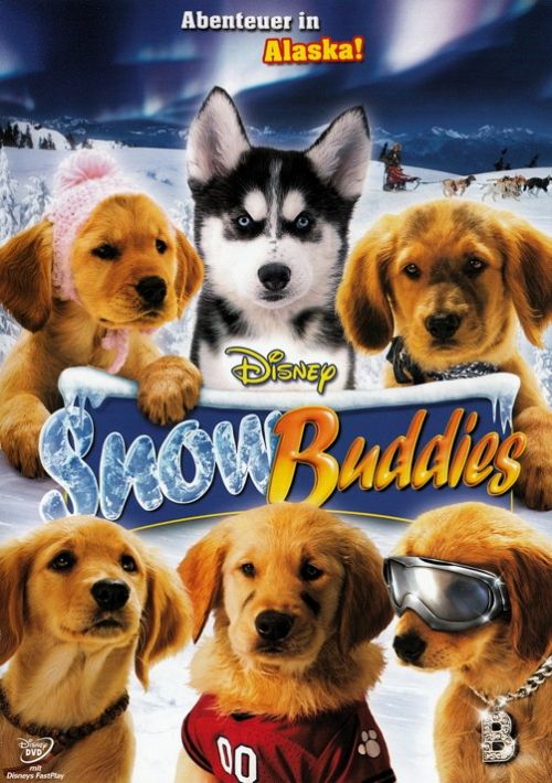 Snow Buddies - Abenteuer in Alaska [DVD]