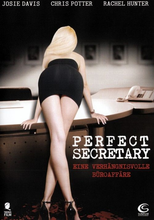 Perfect Secretary [DVD]