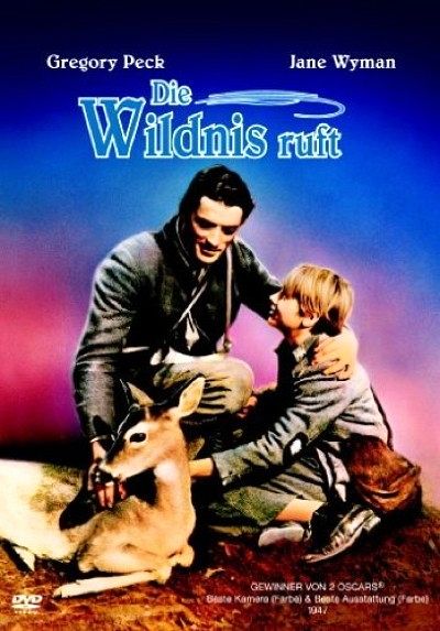 Die Wildnis ruft [DVD]