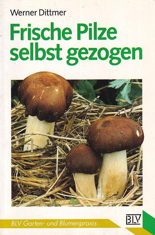 Frische Pilze selbst gezogen