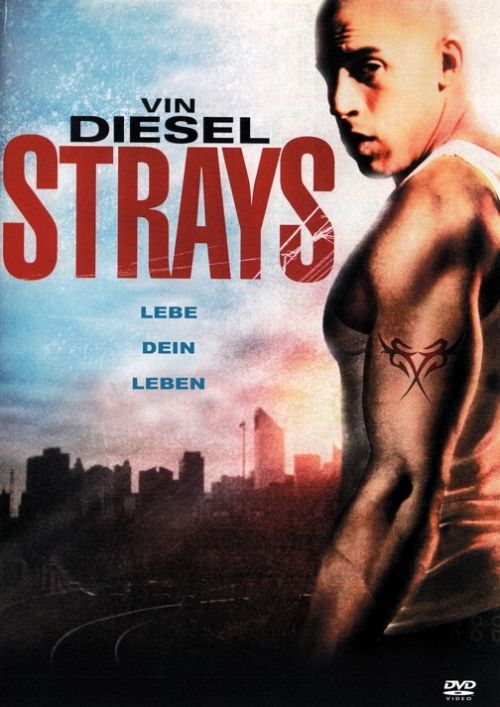 Strays - Lebe dein Leben [DVD]