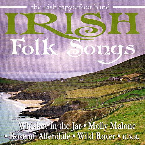 Irish Folk Songs [CD]