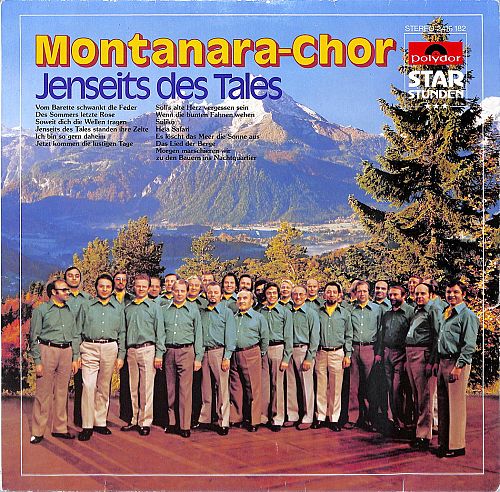 Jenseits des Tales [Vinyl]