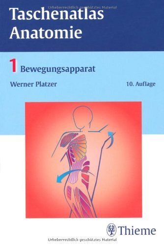 Taschenatlas Anatomie: 1 Bewegungsapparat