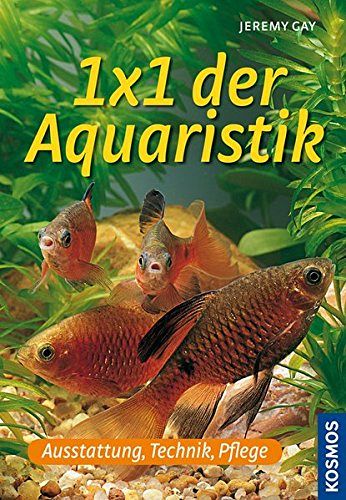 1x1 der Aquaristik