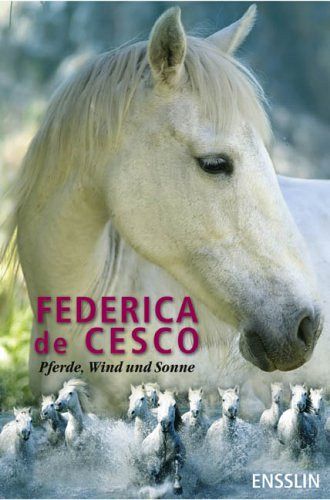 Pferde, Wind und Sonne