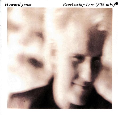 Everlasting Love  [Vinyl]