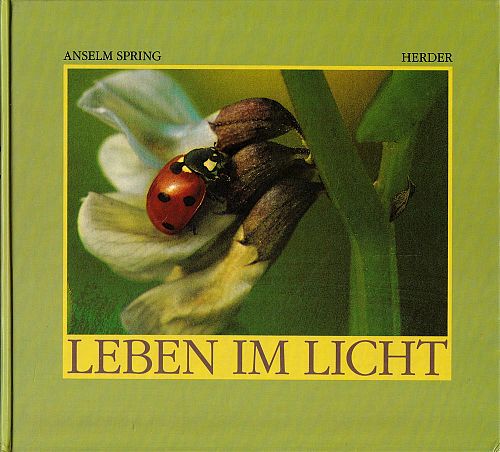 Leben im Licht
