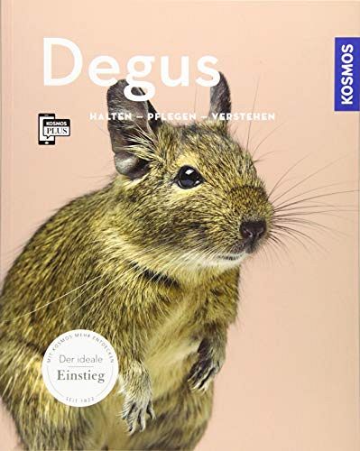Degus
