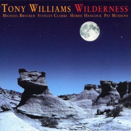 Wilderness [CD]