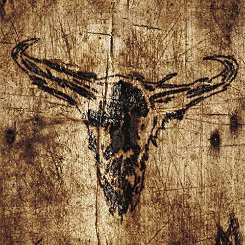 Southern Hostility [Vinyl]