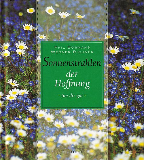Sonnenstrahlen der Hoffnung tun dir gut