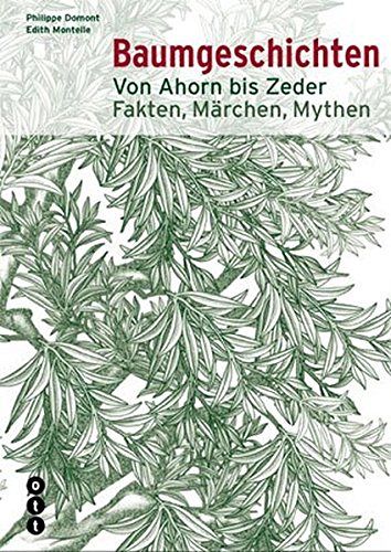Baumgeschichten