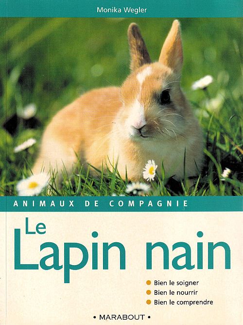 Le lapin nain
