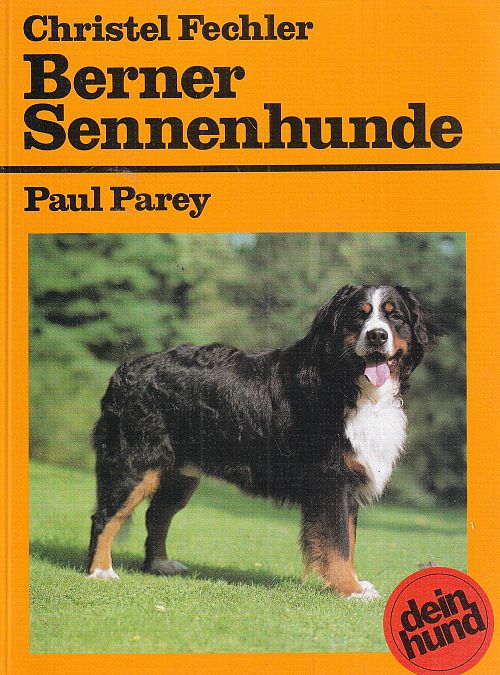 Berner Sennenhunde