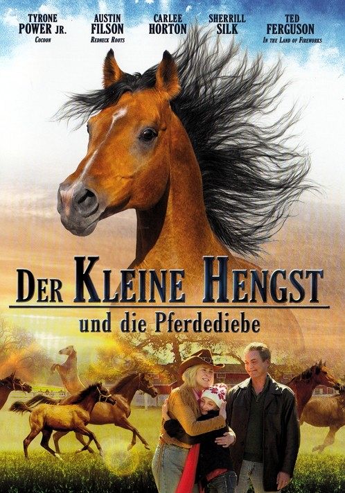 Der kleine Hengst und die Pferdediebe [DVD]