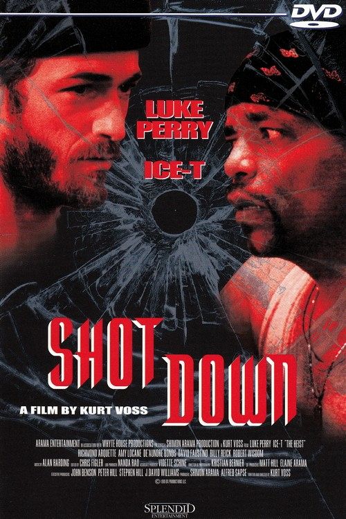 Shot Down [DVD]