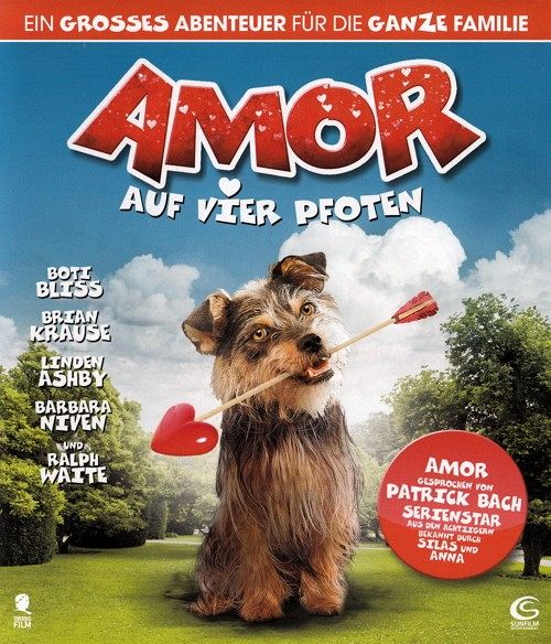Amor auf vier Pfoten [Blu-ray]