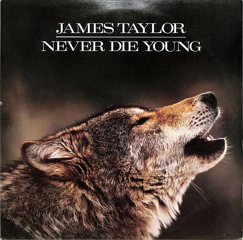 Never Die Young  [Vinyl]