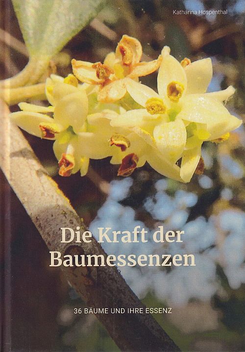 Die Kraft der Baumessenzen