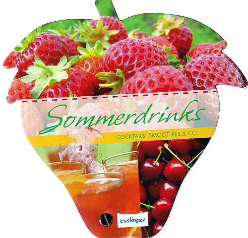 Rezeptefächer-Erdbeere Sommerdrinks