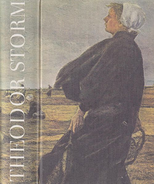 Theodor Storm - Am grauen Meer