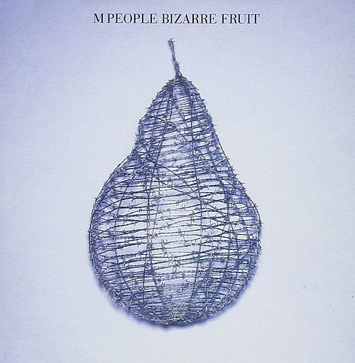 Bizarre fruit [CD]