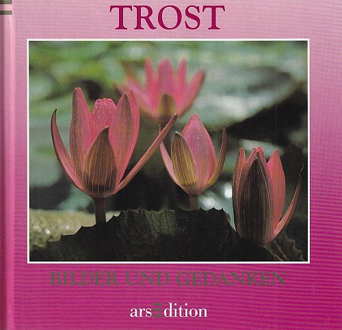 Bilder und Gedanken, Trost