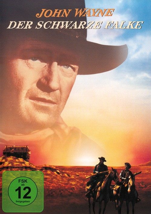 Der schwarze Falke [DVD]