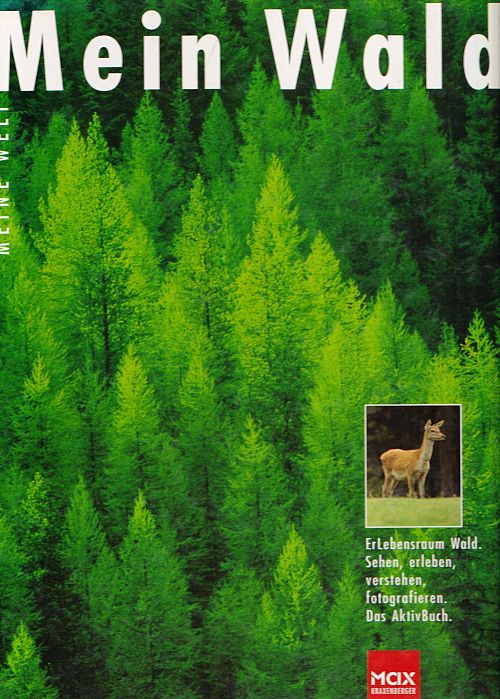 Mein Wald