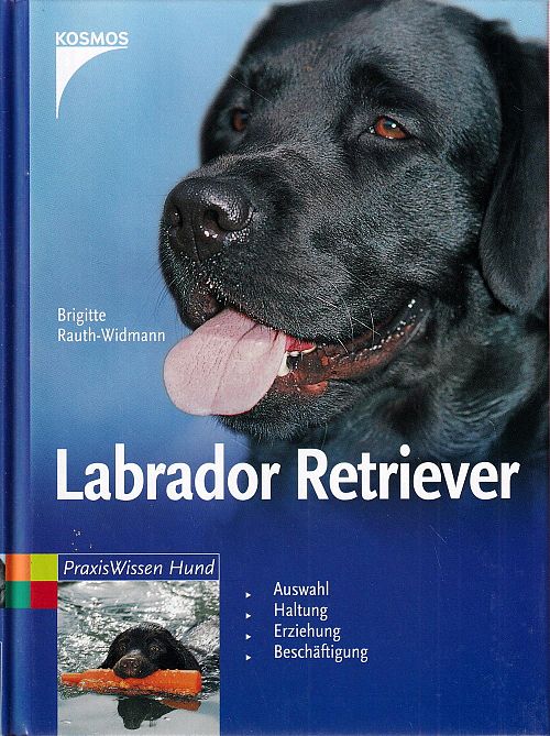 Labrador Retriever