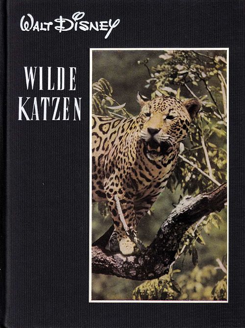 Wilde Katzen