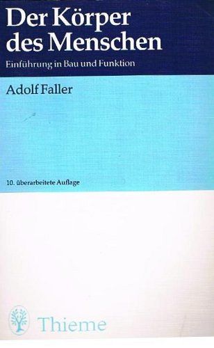 Der Körper des Menschen