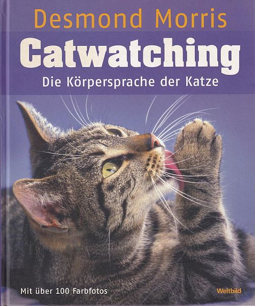 Catwatching 