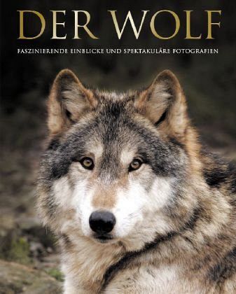 Der Wolf