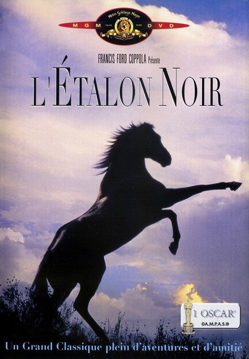 L'Etalon Noir [DVD]