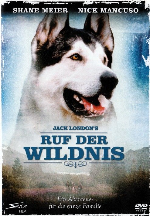 Ruf der Wildnis [DVD]