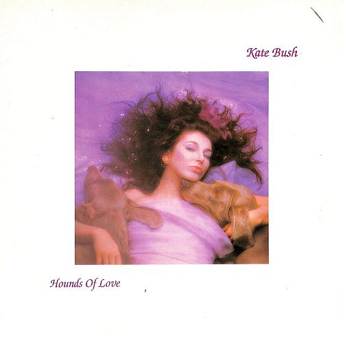 Hounds of love [Vinyl]