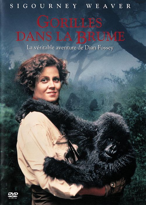 Gorilles dans la brume [DVD]