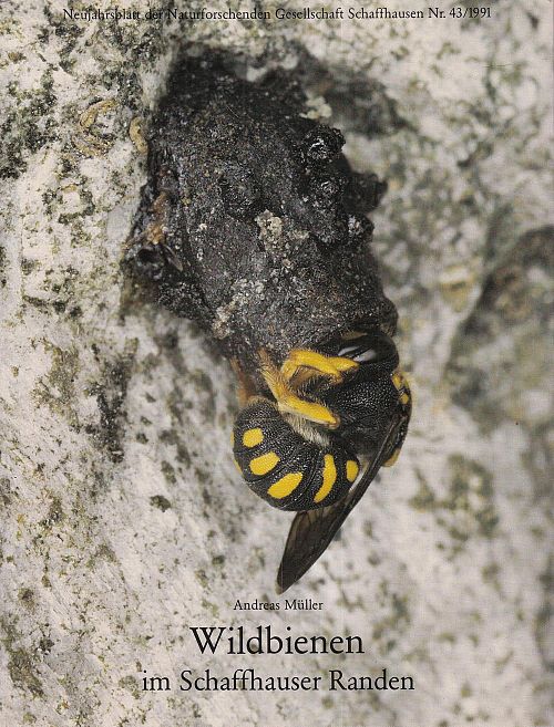 Wildbienen im Schaffhauser Randen