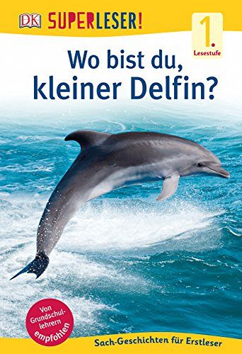 Wo bist du, kleiner Delfin?