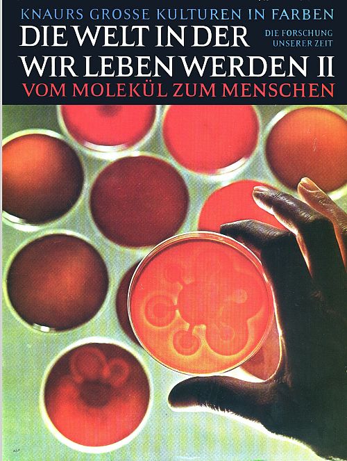 Die Welt in der wir leben werden