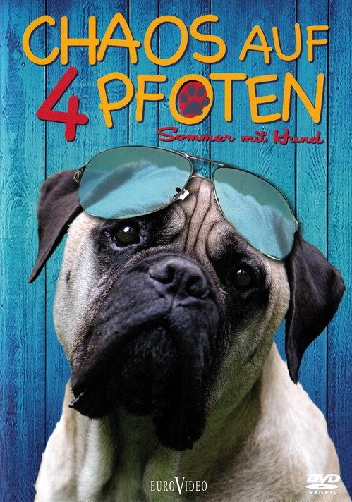 Chaos auf 4 Pfoten [DVD]