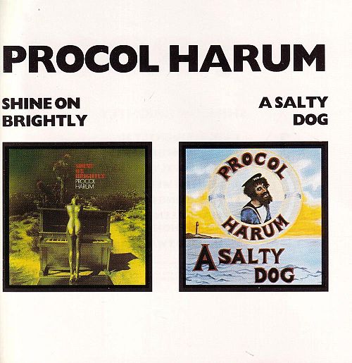 Shine On Brightly - A Salty Dog [CD]