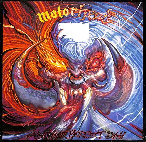 Another perfect day [Vinyl]