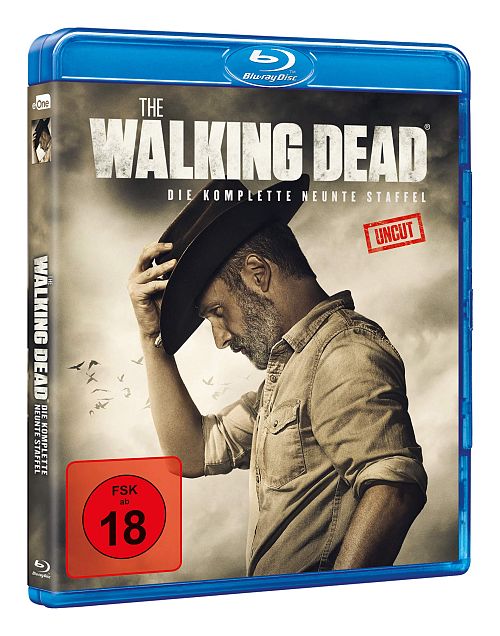 The Walking Dead - Staffel 9 [Blu-ray]