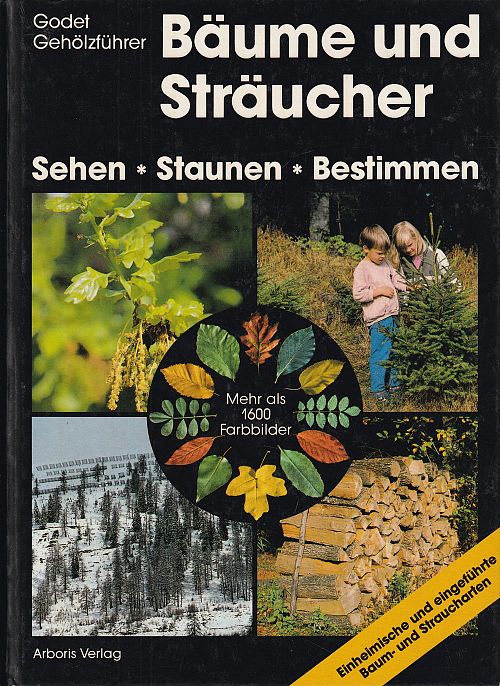 Bäume und Sträucher