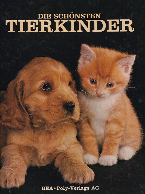 Die schönsten Tierkinder